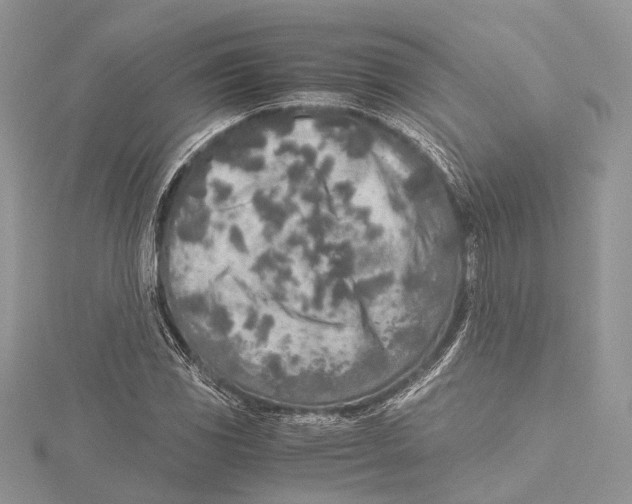 X0000115441117200912020939