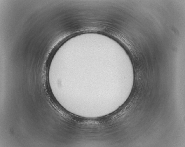 X0000115441119200912020939