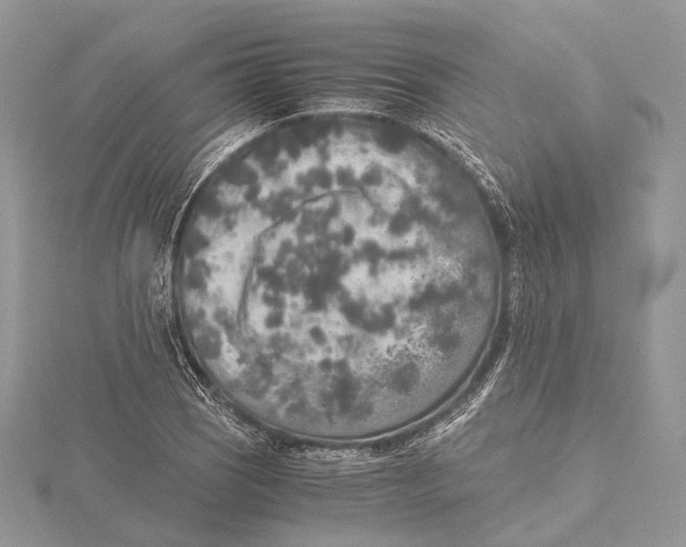 X0000115441121200912020939