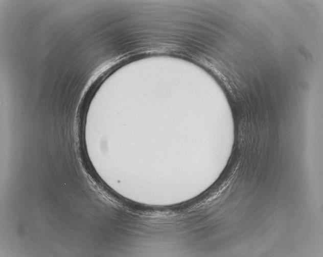 X0000115441122200912020939