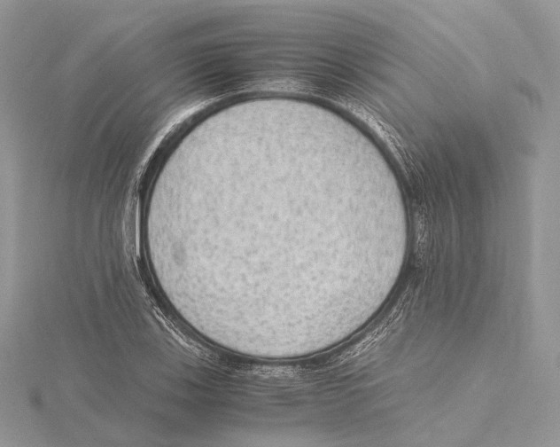 X0000115441123200912020939