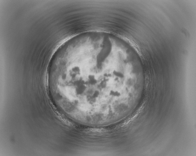 X0000115441125200912020939