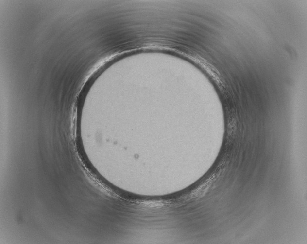 X0000115441126200912020939