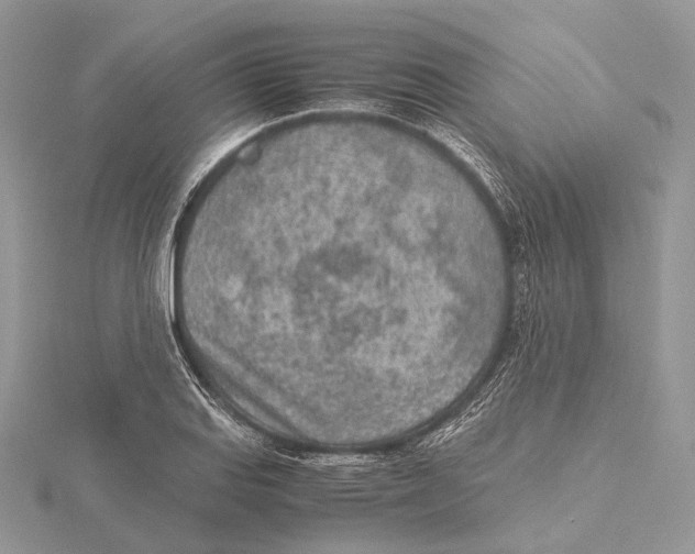 X0000115441127200912020939