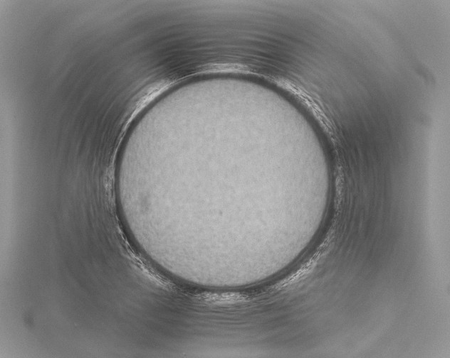 X0000115441129200912020939