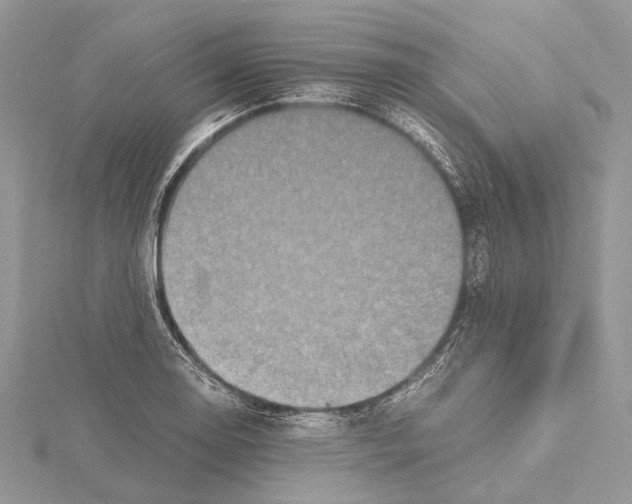 X0000115441130200912020939