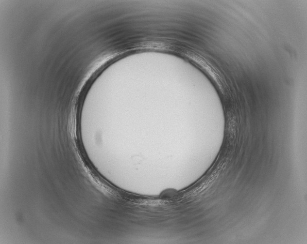 X0000115441131200912020939