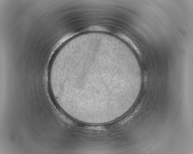 X0000115441133200912020939