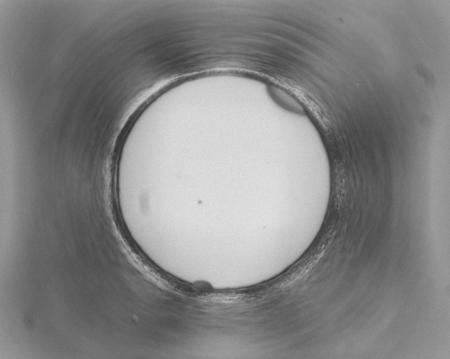 X0000115441134200912020939