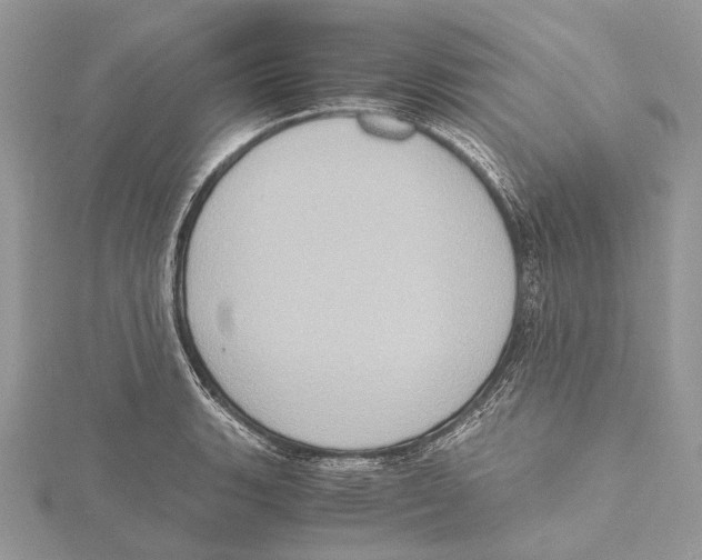 X0000115441135200912020939