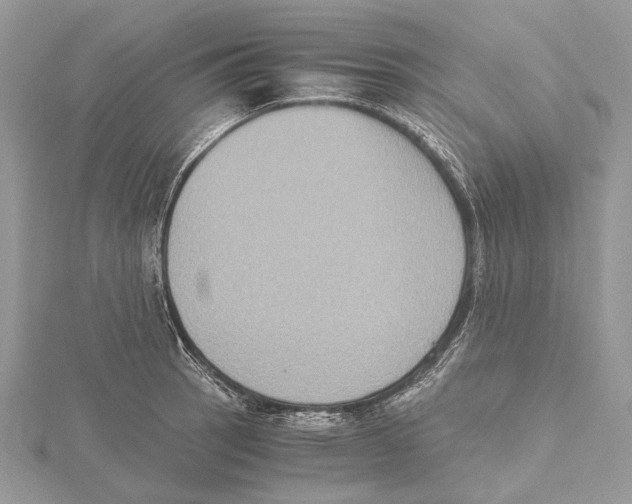 X0000115441137200912020939