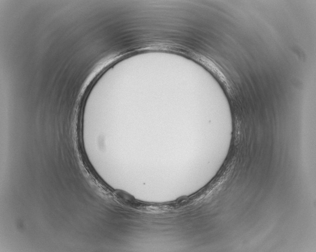 X0000115441138200912020939