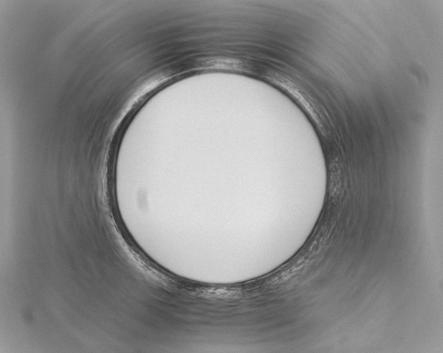 X0000115441139200912020939