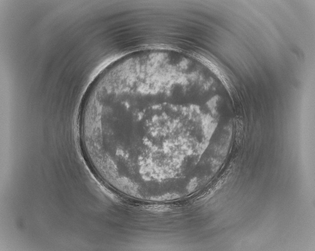 X0000115441141200912020939