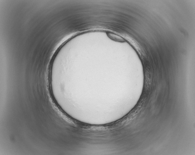 X0000115441142200912020939