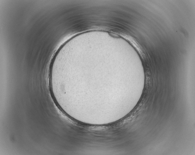 X0000115441143200912020939