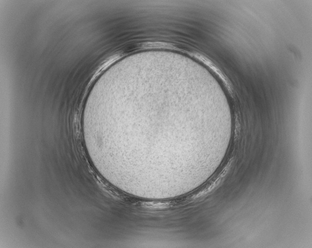 X0000115441145200912020939