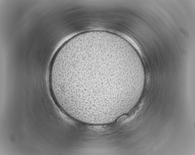 X0000115441149200912020939