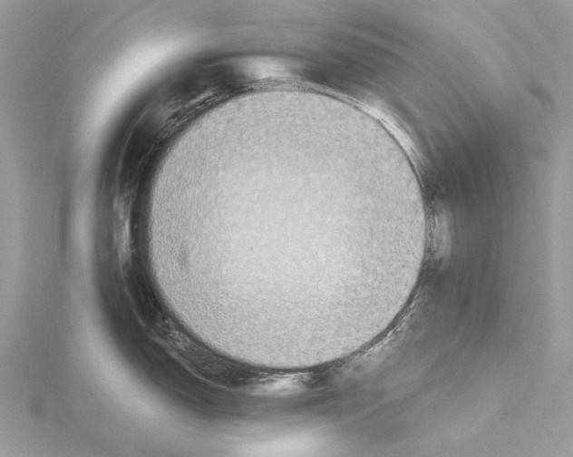 X0000115441150200912020939