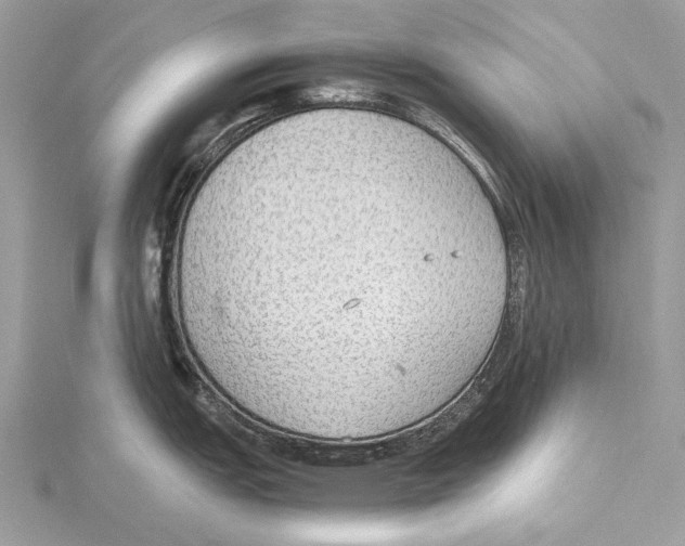 X0000115441151200912020939