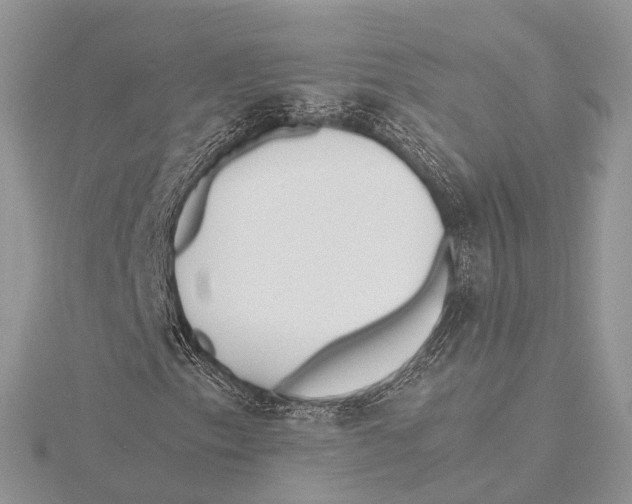 X0000115441153200912020939