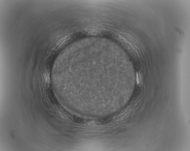 X0000115441155200912020939