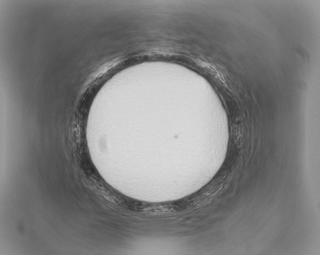 X0000115441159200912020939