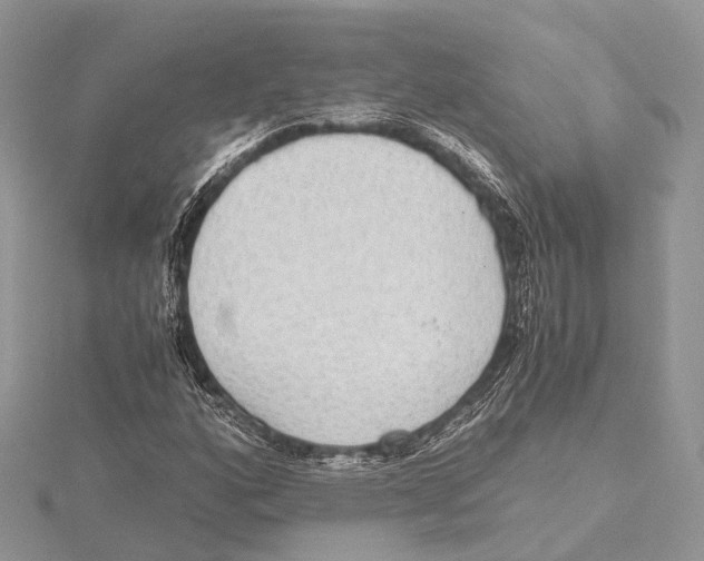 X0000115441160200912020939