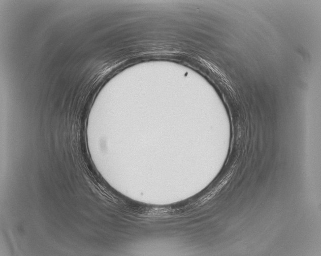 X0000115441161200912020939