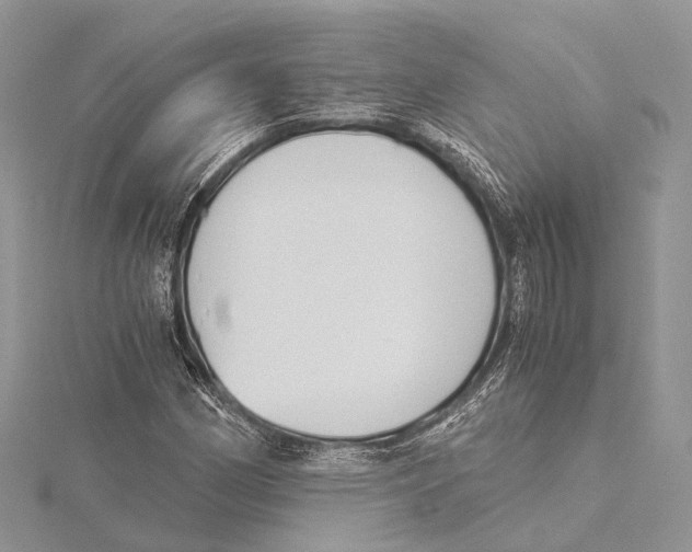 X0000115441162200912020939