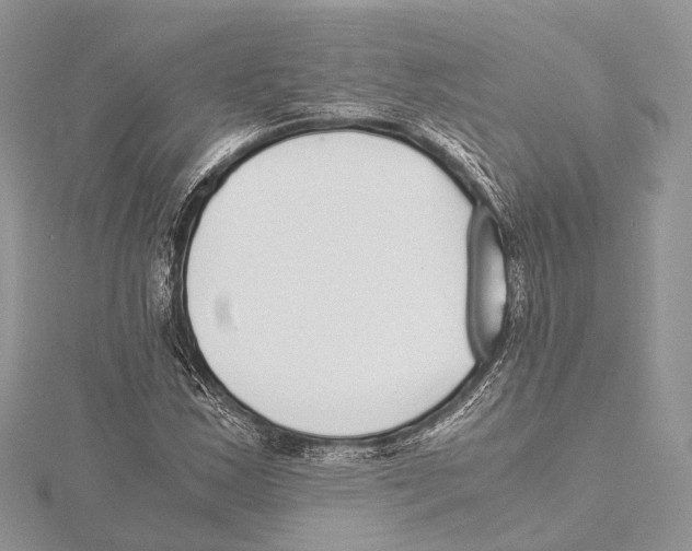 X0000115441163200912020939