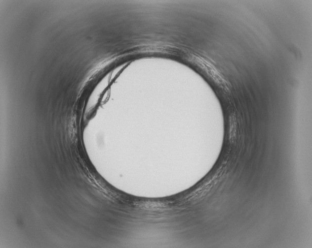 X0000115441164200912020939