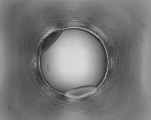 X0000115441165200912020939