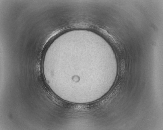 X0000115441166200912020939