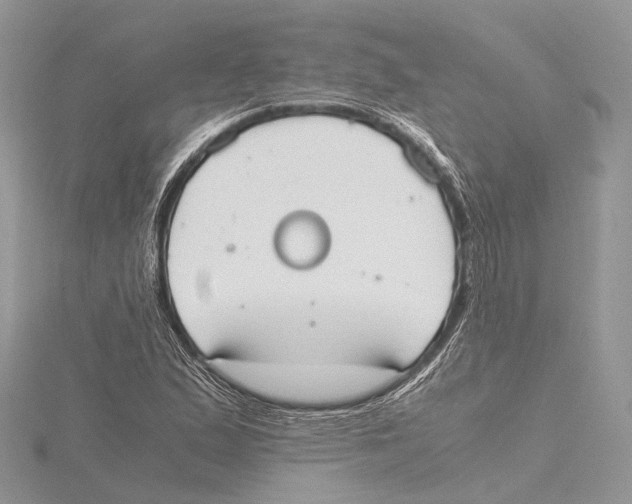 X0000115441167200912020939