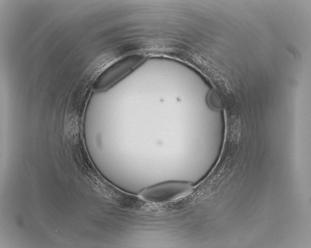 X0000115441169200912020939