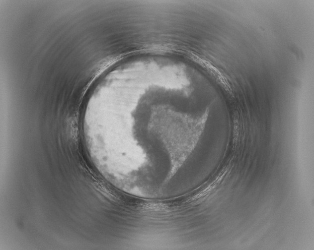 X0000115441170200912020939