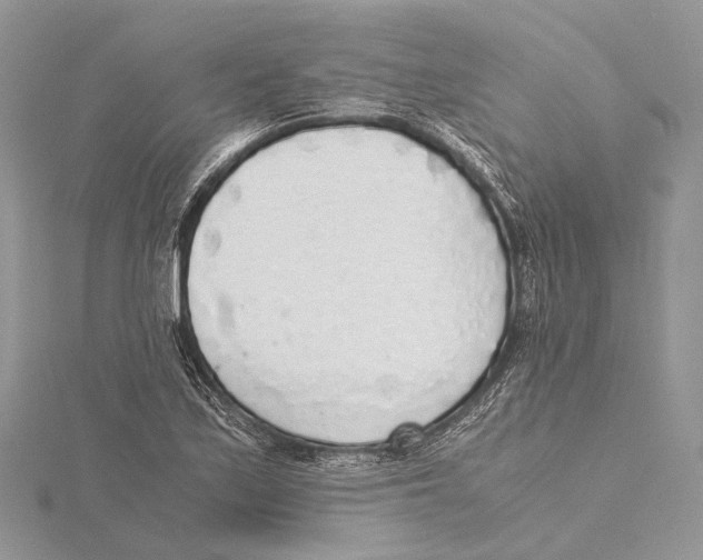 X0000115441171200912020939