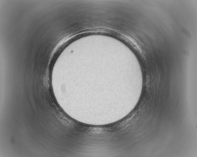 X0000115441172200912020939