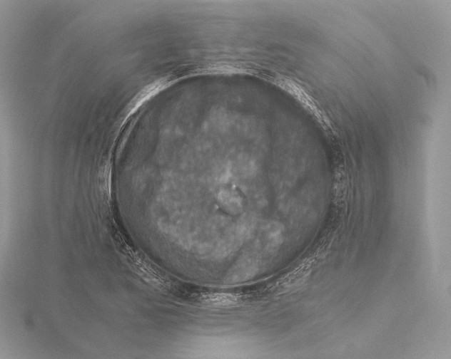 X0000115441173200912020938