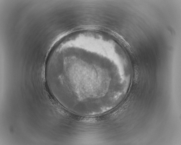 X0000115441174200912020938