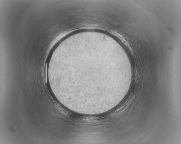 X0000115441175200912020938