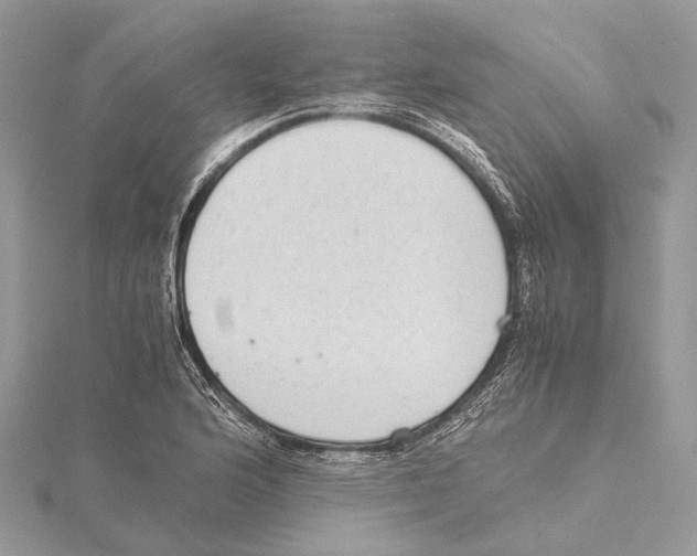 X0000115441176200912020938