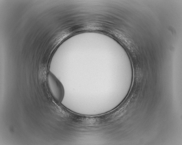 X0000115441177200912020938