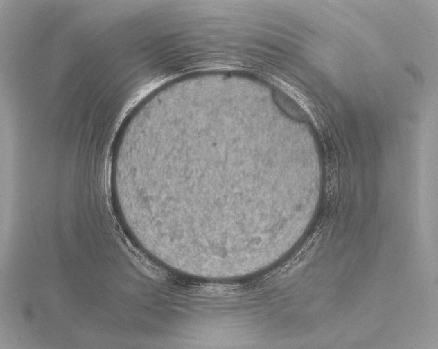 X0000115441179200912020938