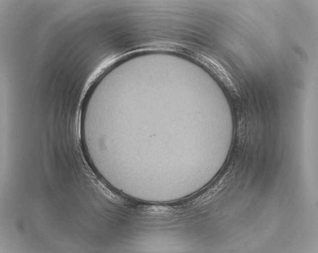 X0000115441180200912020938