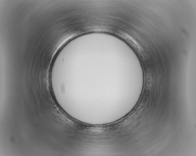 X0000115441182200912020938