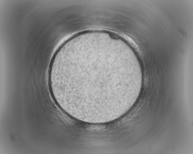 X0000115441183200912020938