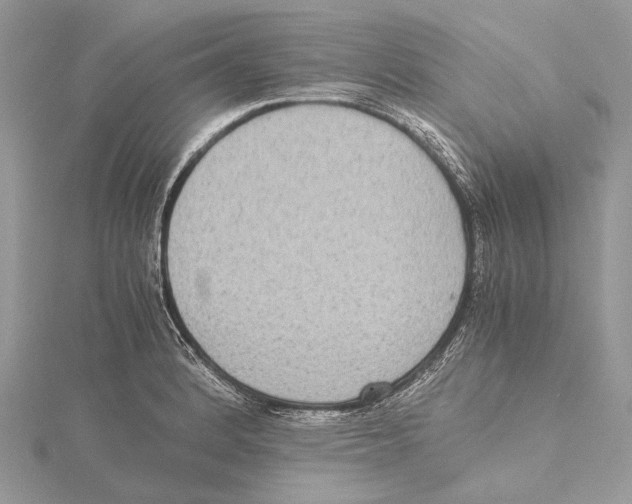 X0000115441184200912020938