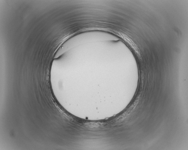 X0000115441185200912020938